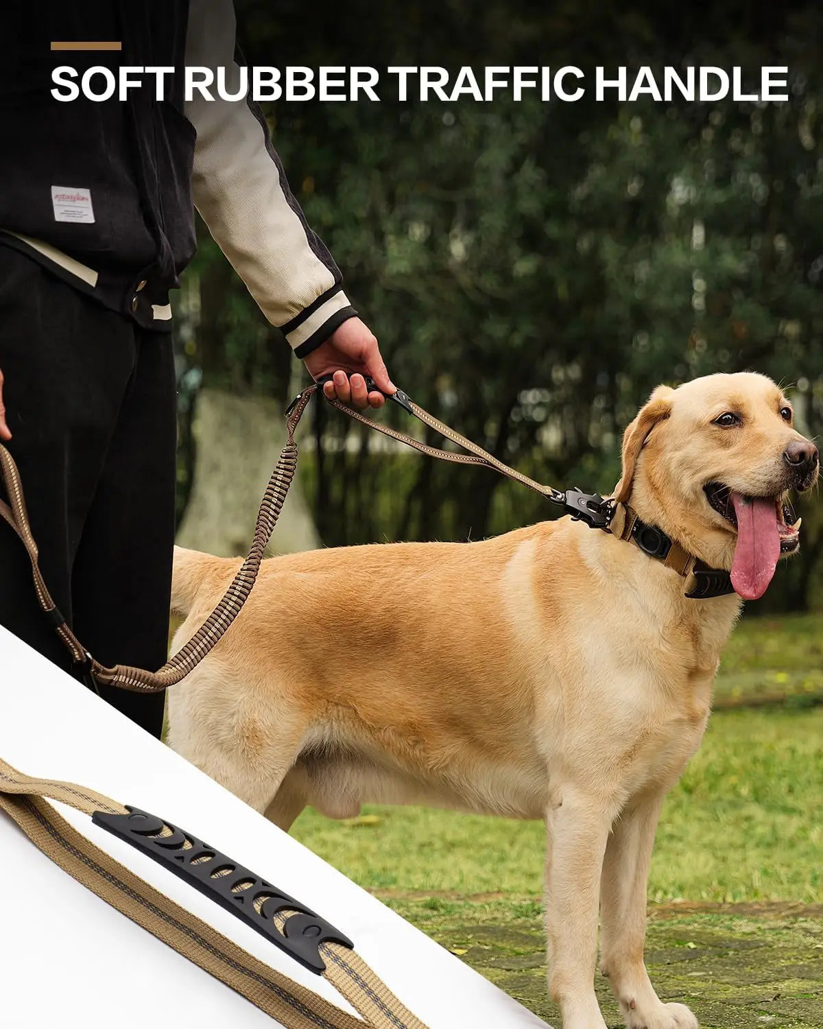 Laisse pour chien