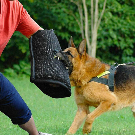 Manchons de morsure pour dressage de chien